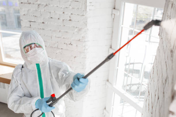 Biohazard Mold Removal in Plano, KY