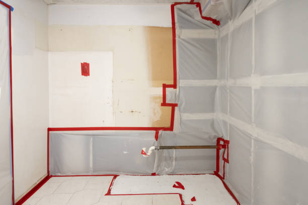 Asbestos and Lead Testing During Mold Inspection in Plano, KY