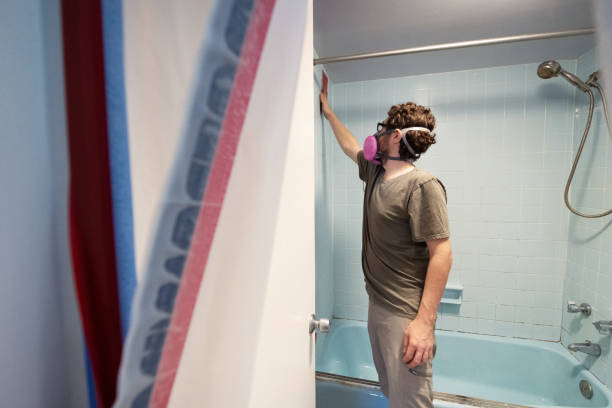 Best Air Quality Testing for Mold Spores  in Plano, KY