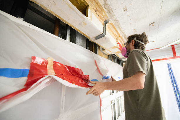 Best Attic Mold Removal  in Plano, KY