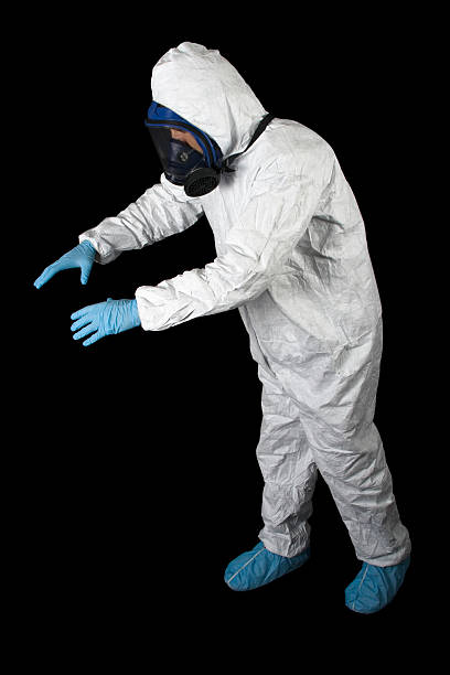 Trusted Plano, KY Mold Removal Experts