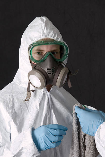 Best Post-Remediation Verification Testing  in Plano, KY